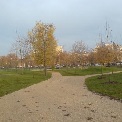 12-13 decembrie: La pas după... Anton Durcovici