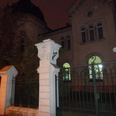12-13 decembrie: La pas după... Anton Durcovici