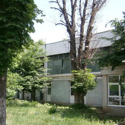 12-13 decembrie: La pas după... Anton Durcovici