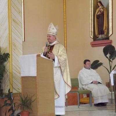 12 ianuarie: Săveni: Sărbătoarea Botezul Domnului împreună cu PS Aurel Percă