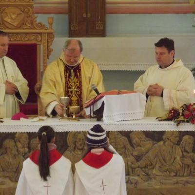12 ianuarie: Săveni: Sărbătoarea Botezul Domnului împreună cu PS Aurel Percă