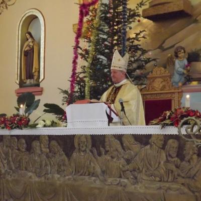 12 ianuarie: Săveni: Sărbătoarea Botezul Domnului împreună cu PS Aurel Percă
