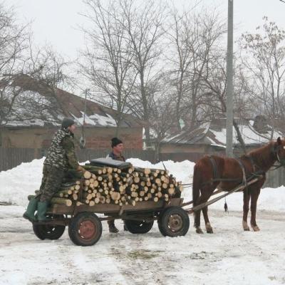 10-12 februarie: Cuca şi Măcişeni: "Încălzind case şi suflete" - acţiune a echipei de intervenţie a Centrului Diecezan Caritas