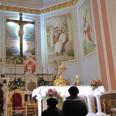 11 februarie: Luizi-Călugăra: Întâlnirea Armatei Maicii Domnului
