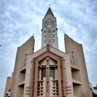 19 martie: Bacău: Profesiunea solemnă a sr. Monica Martin