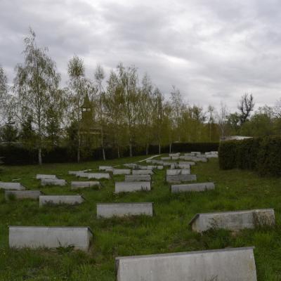 5-6 aprilie: Piatra Neamţ: Pelerinaj la Sighet