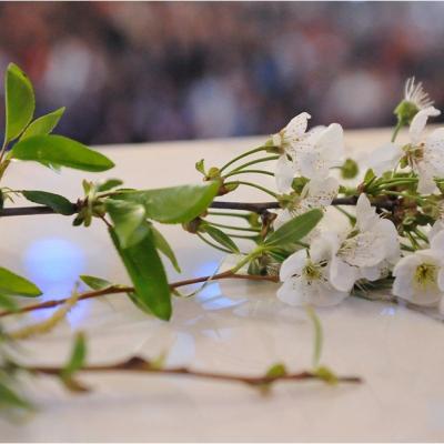 13 aprilie: Iaşi: Duminica Floriilor, pentru toţi cei cu suflet tânăr