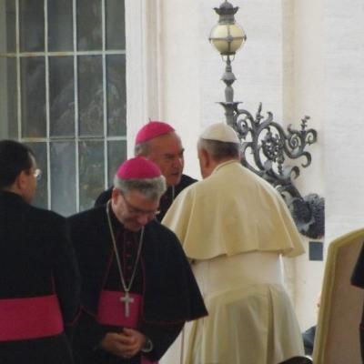 30 aprilie: Vatican: Binecuvântarea de către papa Francisc a noilor veşminte şi coroane ale Icoanei Maicii Domnului de la Cacica, în cadrul audienţei generale, fiindu-i prezentate de o delegaţie condusă de PS Petru Gherghel
