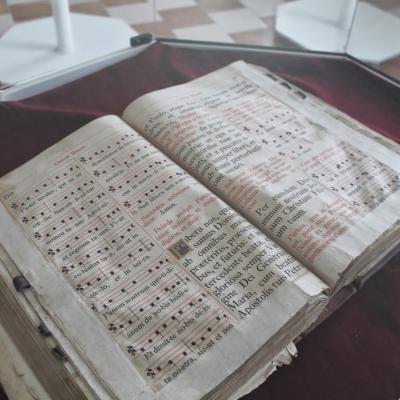 10 mai: Roman: Întâlnirea anuală dintre seminariştii diecezani şi cei franciscani la Roman
