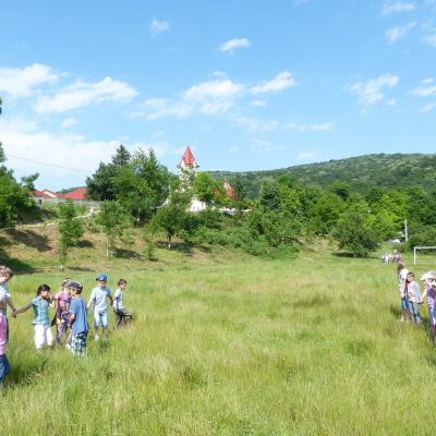 23 iunie - 6 iulie: Ploscuţeni: La noi GREF-ul e în toi