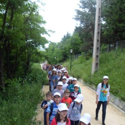 26-30 iunie: Moineşti: Campus parohial "Vara împreună"