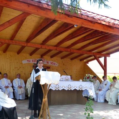 6 iulie: Ploscuţeni: Primiţia părintelui Daniel Ioniţă