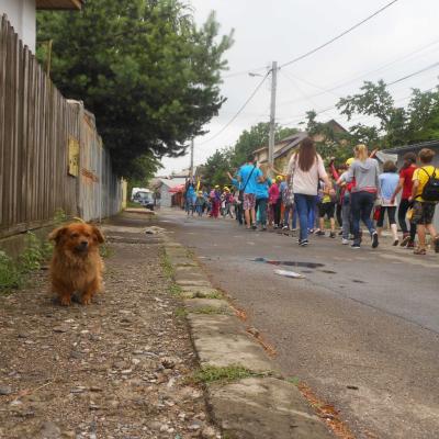 7-12 iulie: Roman: Fericiţi alături de... fericitul Anton Durcovici