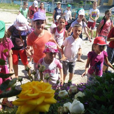 7-12 iulie: Cleja "Sfântul Francisc": Campus "Cu Isus la drum"