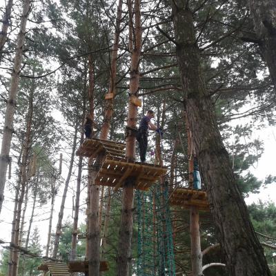21-25 iulie: Tineri din Iaşi "Sfânta Tereza" în campus la Gura Humorului, cu gândul la fericitul Anton Durcovici