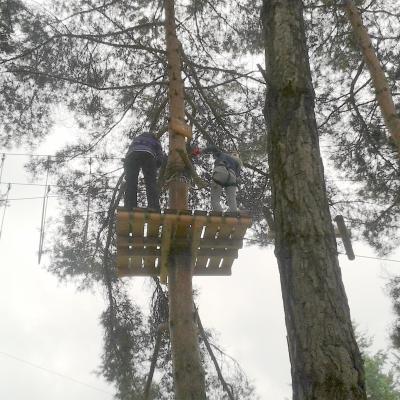 21-25 iulie: Tineri din Iaşi "Sfânta Tereza" în campus la Gura Humorului, cu gândul la fericitul Anton Durcovici