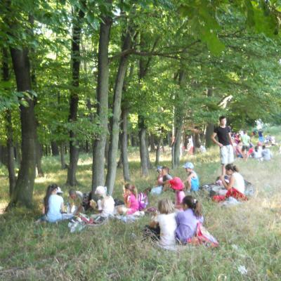 18-24 august: Cleja "Sfântul Marcu": Campus "Să creştem în prietenie alături de Isus!"