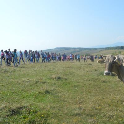 8-11 septembrie: Bacău ("Sfântul Nicolae"): Campusul copiilor "Astăzi să ne bucurăm"