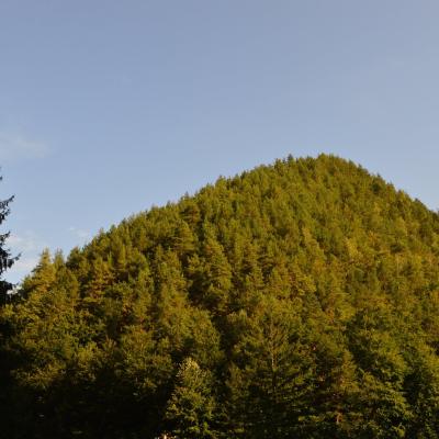 4-6 octombrie: Bacău "Sfântul Nicolae": Campusul Acţiunii Catolice "Isus e bucuria mea" la Slănic Moldova