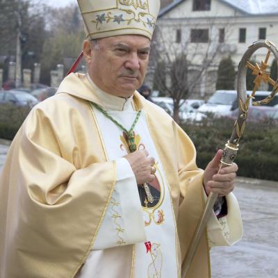 8 decembrie: Iaşi: Sfinţiri de diaconi. Foto: Ionuţ-Gabriel Giurgică