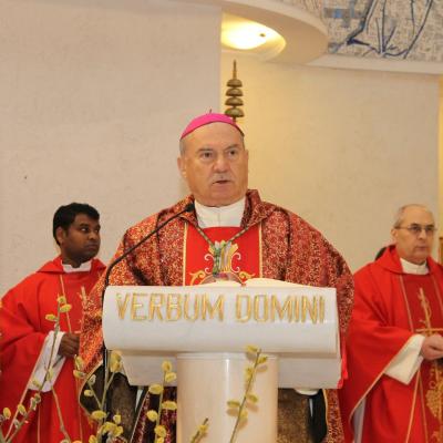 29 martie: Iaşi: Duminica Floriilor. Foto: Ionuţ-Gabriel Giurgică