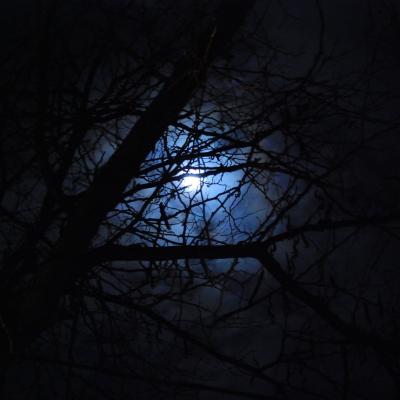 31 martie: Iaşi: Calea Crucii pe Golgota... Cetăţuii. Foto: Emilian Lupu