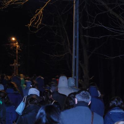 31 martie: Iaşi: Calea Crucii pe Golgota... Cetăţuii. Foto: Emilian Lupu
