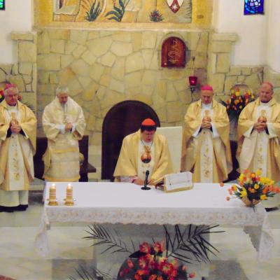 18 aprilie: Luncani: Întâlnirea cardinalului Braz de Aviz cu superiorii majori şi superioarele majore
