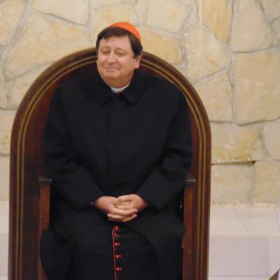 18 aprilie: Luncani: Întâlnirea cardinalului Braz de Aviz cu superiorii majori şi superioarele majore
