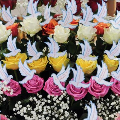 19 aprilie: Iaşi: Liturghie dedicată persoanelor consacrate, prezidată de cardinalul João Braz de Aviz