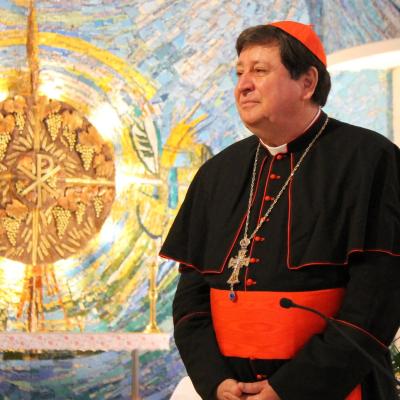 19 aprilie: Iaşi: Liturghie dedicată persoanelor consacrate, prezidată de cardinalul João Braz de Aviz. Foto: Ionuţ-Gabriel Giurgică