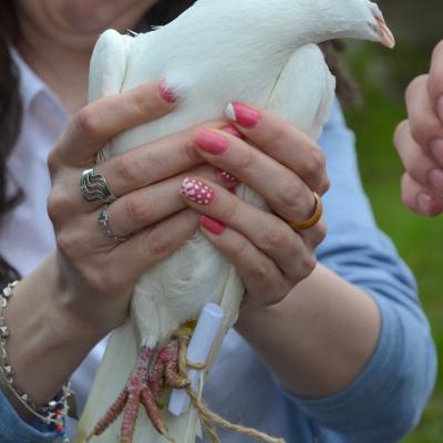 2 mai: Oneşti: Ziua Tineretului în Dieceza de Iaşi. Foto: Raluca Cocuţ, Alexandru Pricopee şi Cristian Stancu