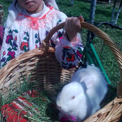 10 mai: Valea Mică: Hramul comunităţii