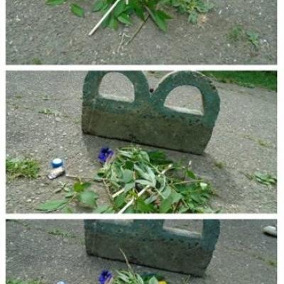 22-24 mai: Bacău: Schimb de experienţă alături de tinerii din Parohia Dărmăneşti
