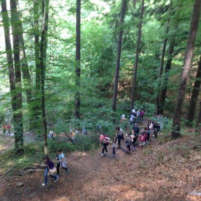 22 iunie - 4 iulie: Iaşi "Sfânta Tereza": Campus pentru copii