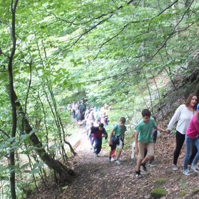 22 iunie - 4 iulie: Iaşi "Sfânta Tereza": Campus pentru copii