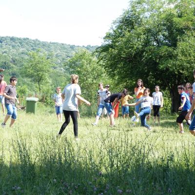 22 iunie - 5 iulie: Ploscuţeni: GREF