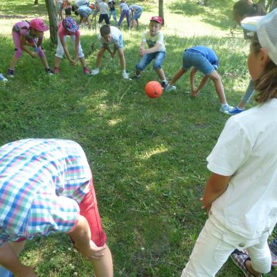 22 iunie - 5 iulie: Ploscuţeni: GREF