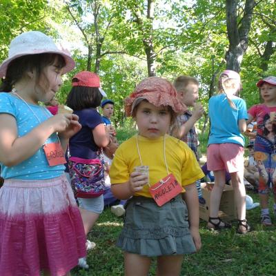 22 iunie - 5 iulie: Ploscuţeni: GREF