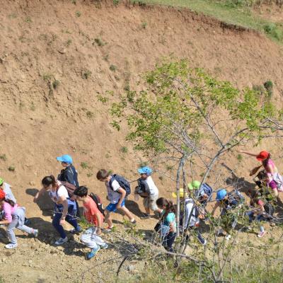 22-28 iunie: Bacău "Sfântul Nicolae": Campusul copiilor Cu Isus creştem frumos
