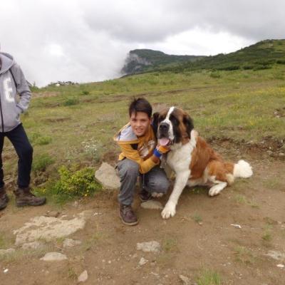29 iunie - 4 iulie: Iaşi: Beneficiarii Căminului "La Salle" şi tinerii lasallieni în campus la Durău