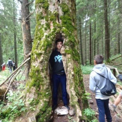 29 iunie - 4 iulie: Iaşi: Beneficiarii Căminului "La Salle" şi tinerii lasallieni în campus la Durău