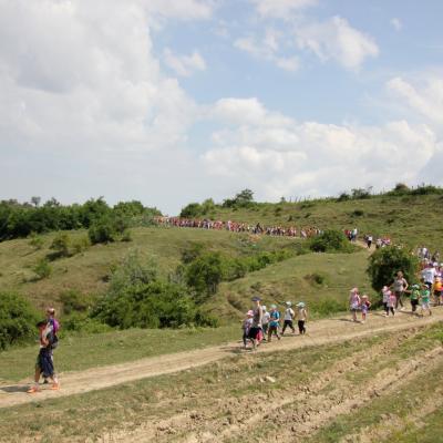 1-7 iulie: Luizi-Călugăra: Campus "Prietenia în culori"
