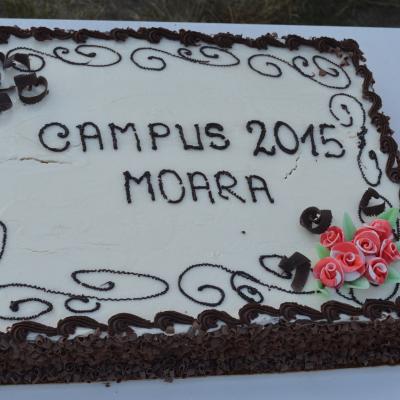 8-11 iulie: Moara: O călătorie imaginară cu Prinţul Isus la campusul de vară