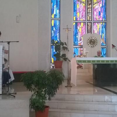 11-12 iulie: Slatina: Sesiune de formare pentru vincenţieni