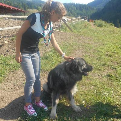 13-18 iulie: Lespezi: Campusul scoutiştilor
