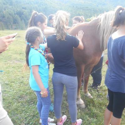 13-18 iulie: Lespezi: Campusul scoutiştilor
