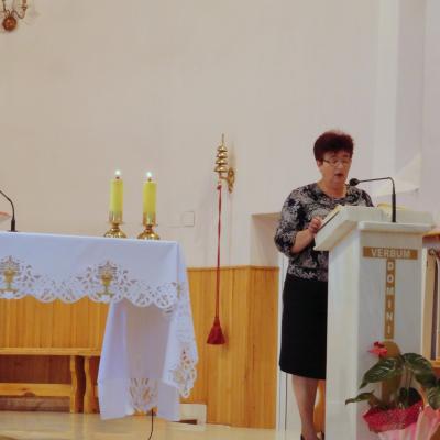 18-19 iulie: Roman: Sesiune de formare pentru vincenţieni