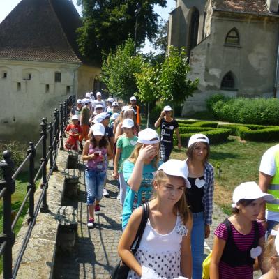 20-23 iulie: Baraţi: Itinerar de rugăciune şi voie bună