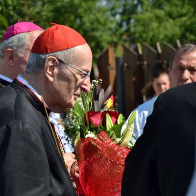 8 august: Butea: A treia Întâlnire Diecezană a Familiilor